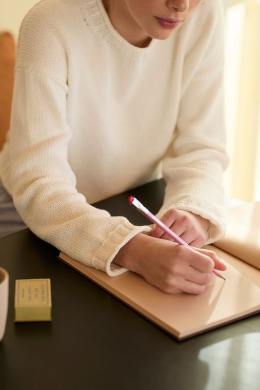 520 Disen sommergenser oppskrift