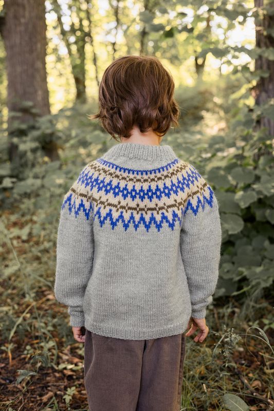 Polar-Light Barnegenser